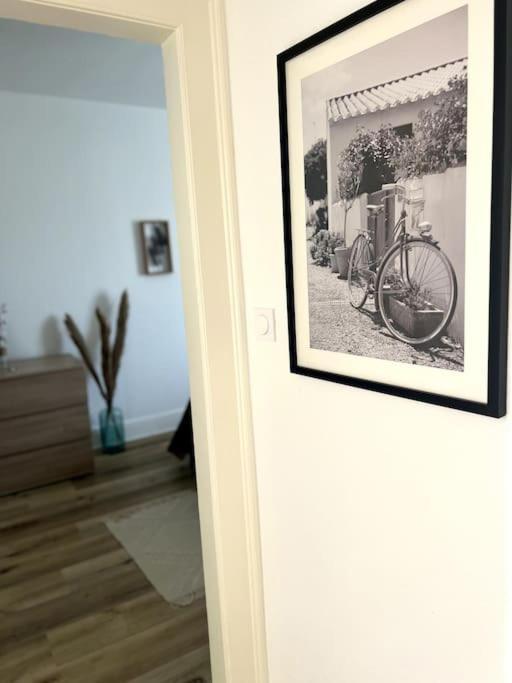 Appartement Cosy Et Lumineux Avec Parking Gratuit Colmar Zewnętrze zdjęcie