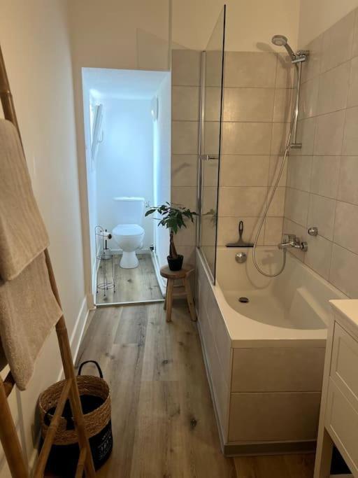 Appartement Cosy Et Lumineux Avec Parking Gratuit Colmar Zewnętrze zdjęcie
