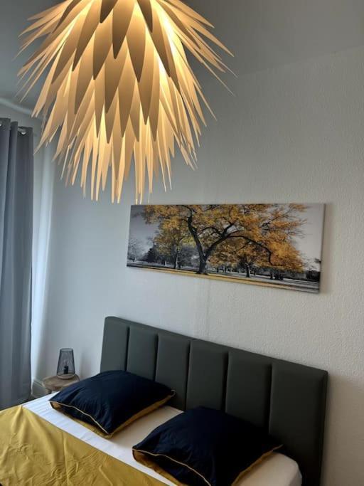 Appartement Cosy Et Lumineux Avec Parking Gratuit Colmar Zewnętrze zdjęcie